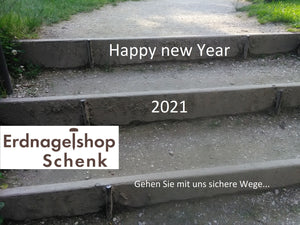 Frohes neues Jahr 2021